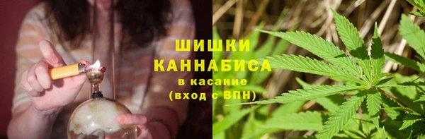 apvp Карпинск