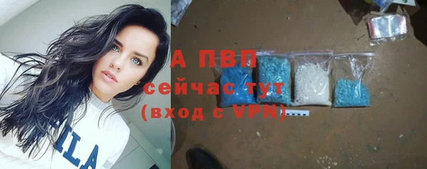 apvp Карпинск