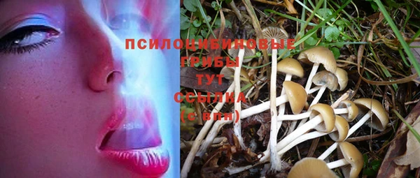 MESCALINE Карталы