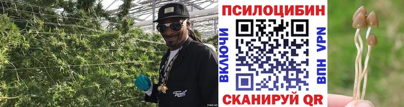 Купить закладки  Окуловка  Галлюциногенные грибы прущие грибы 